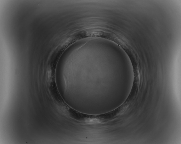 X0000086760224200704201751