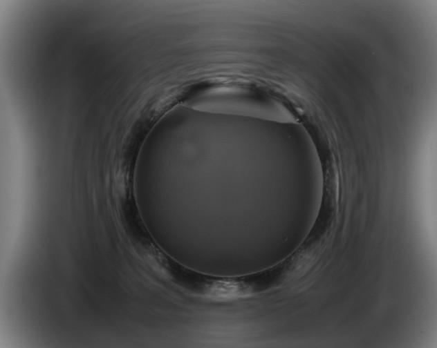 X0000086760227200704201751