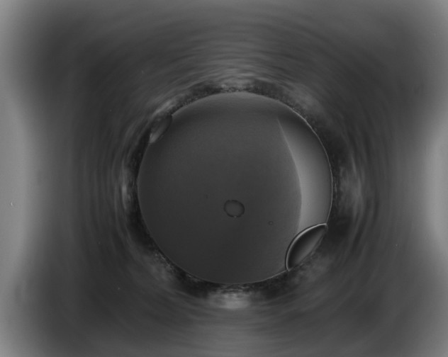 X0000086760228200704201751