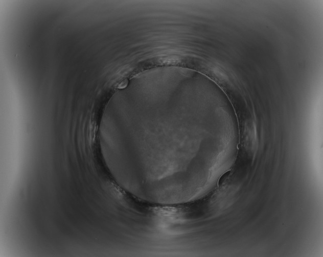 X0000086760230200704201751