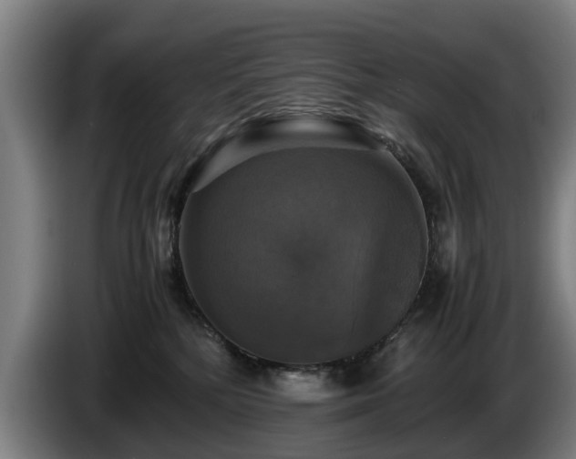 X0000086760232200704201751