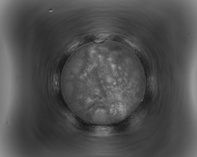 X0000086760234200704201751