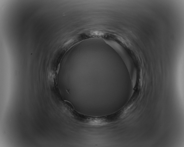 X0000086760235200704201751