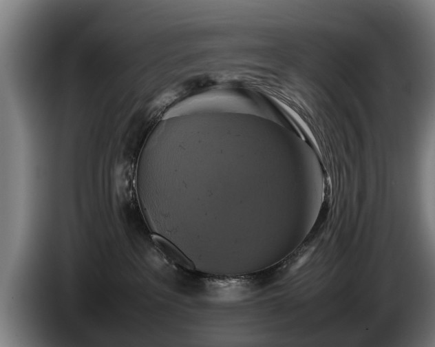 X0000086760237200704201751