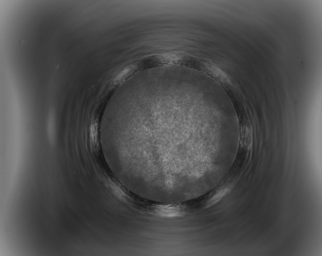 X0000086760238200704201751