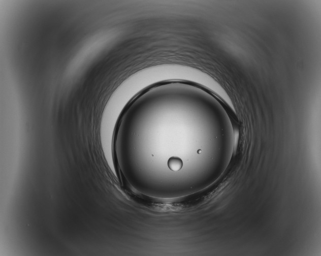 X0000086760239200704201751