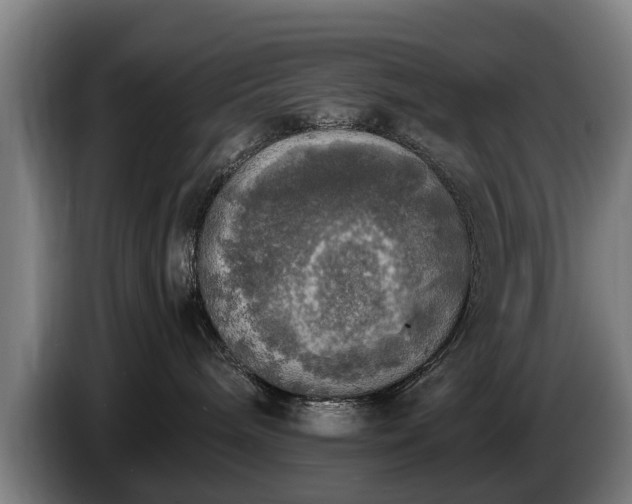 X0000086760240200704201751