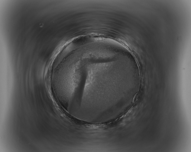 X0000086760241200704201750