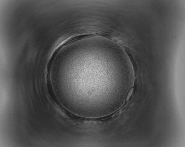 X0000086760242200704201750