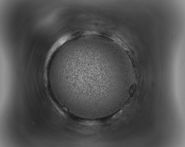 X0000086760245200704201750