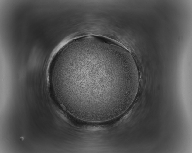 X0000086760246200704201750