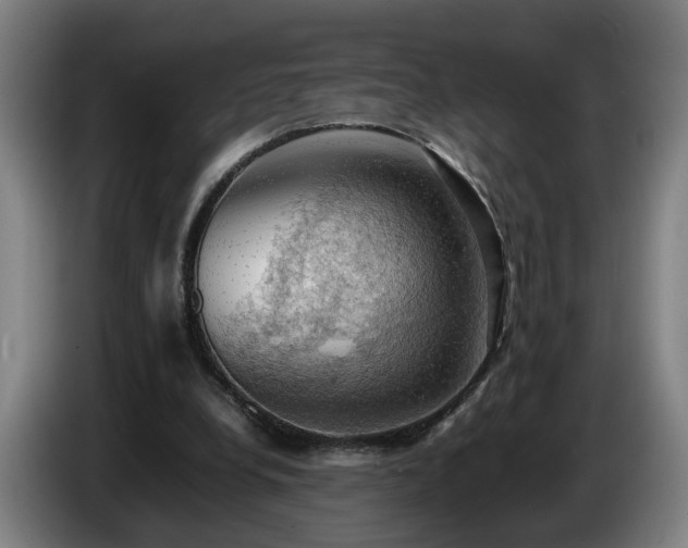 X0000086760248200704201750