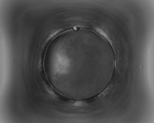 X0000086760249200704201750