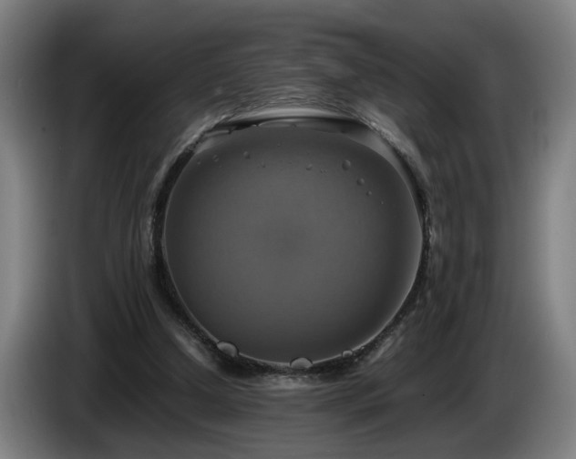 X0000086760250200704201750