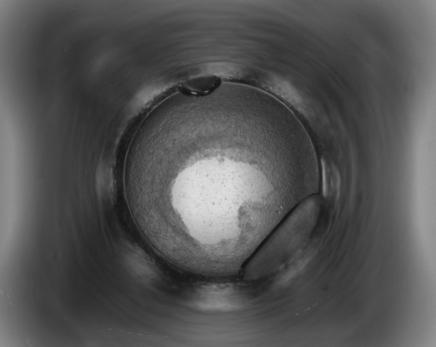 X0000086760252200704201751