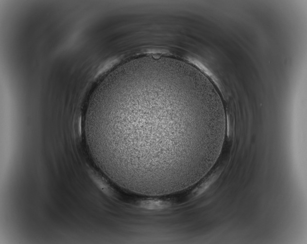 X0000086760253200704201751