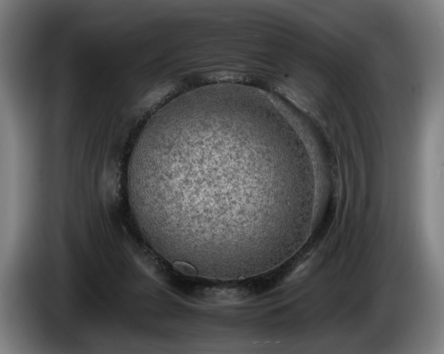 X0000086760255200704201751