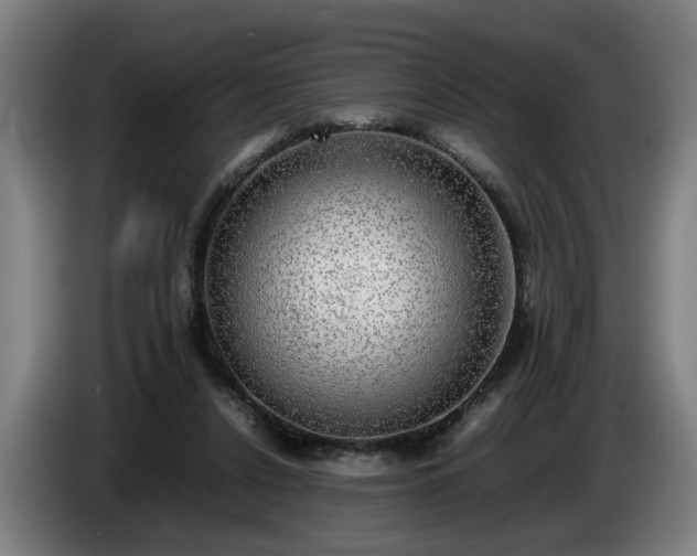 X0000086760256200704201751