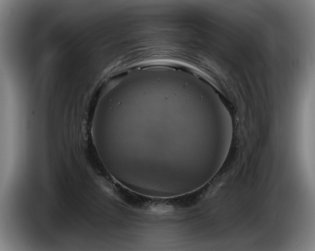 X0000086760258200704201751