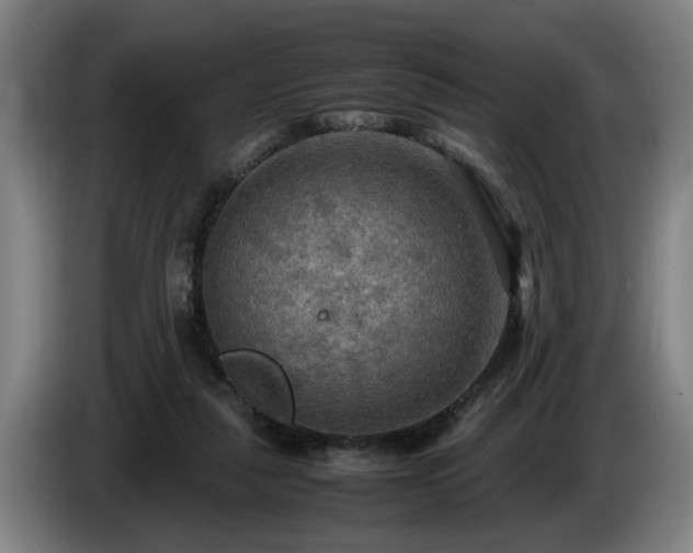 X0000086760259200704201751