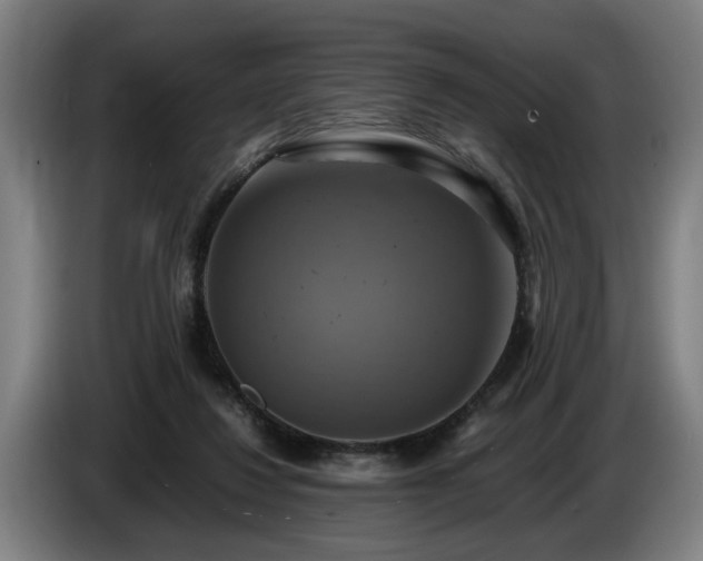 X0000086760260200704201751