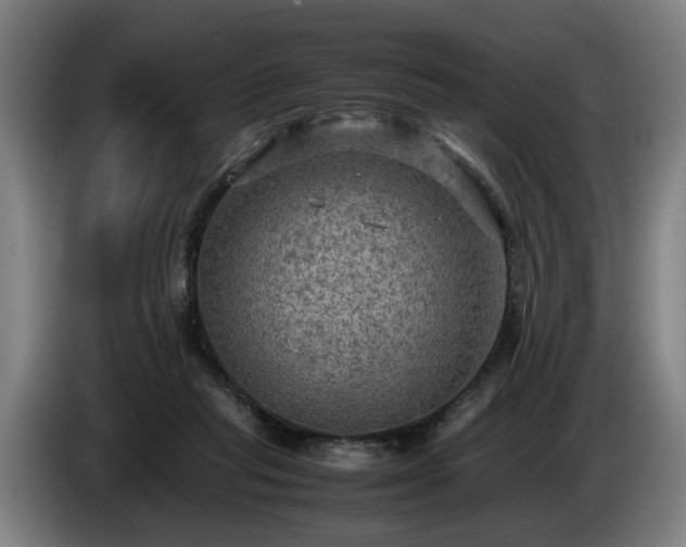 X0000086760261200704201751