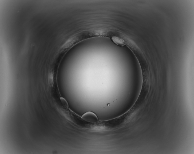 X0000086760262200704201751