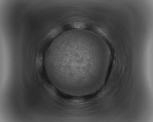 X0000086760263200704201751