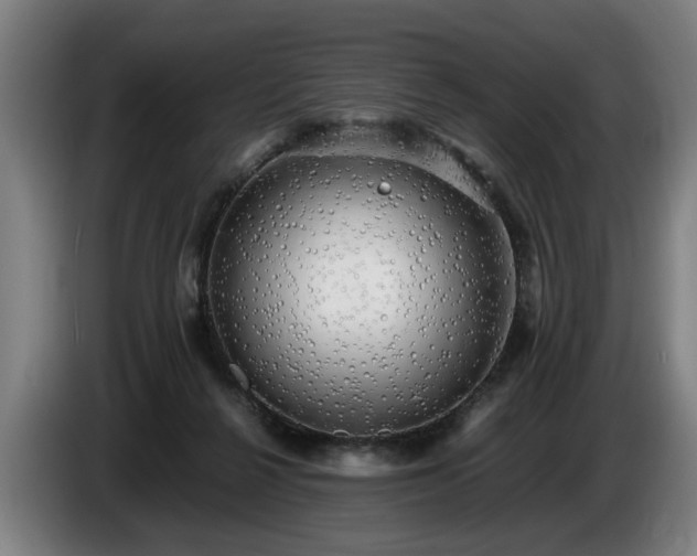 X0000086760264200704201751