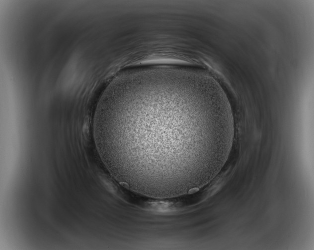 X0000086760265200704201751