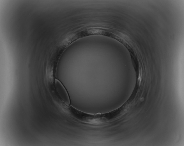 X0000086760267200704201751