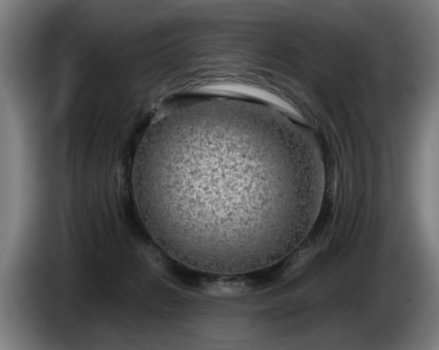 X0000086760270200704201751