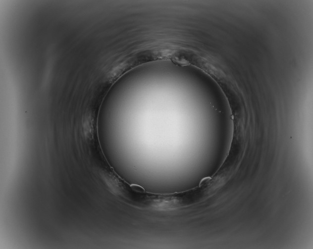 X0000086760274200704201751