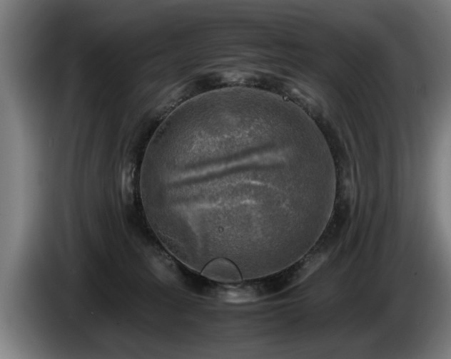 X0000086760275200704201751