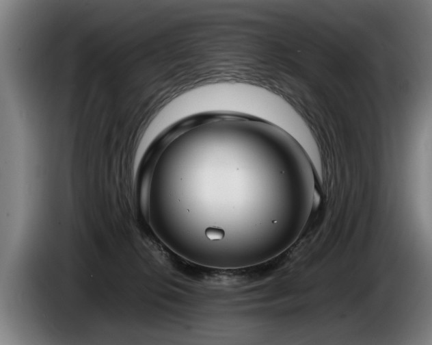 X0000086760276200704201751