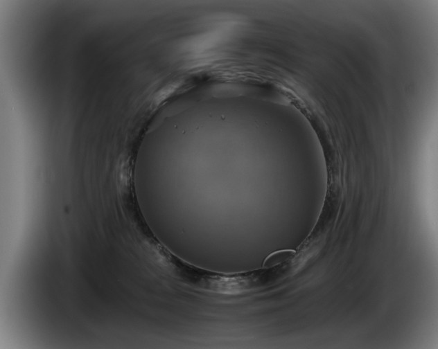 X0000086760277200704201751