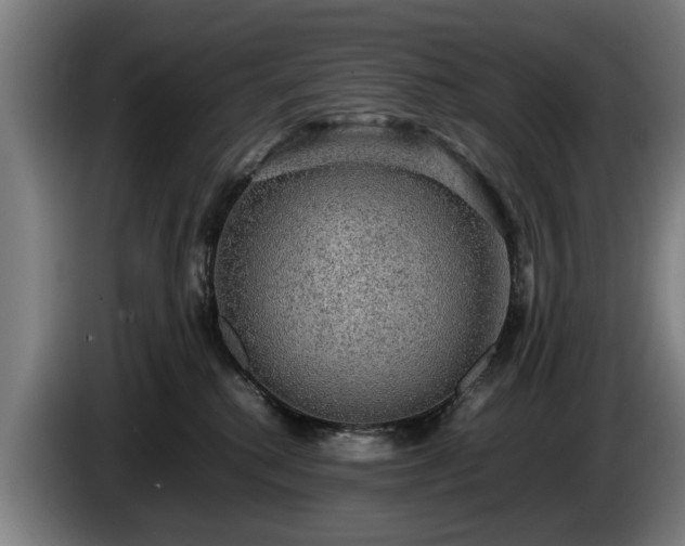 X0000086760280200704201751