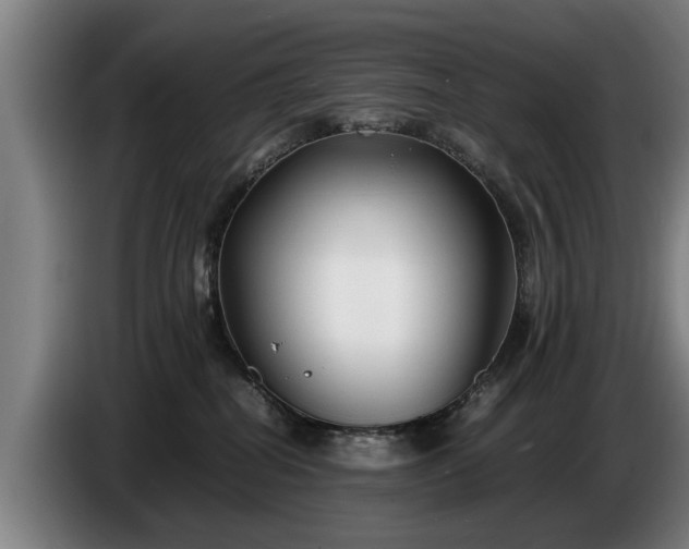 X0000086760282200704201751