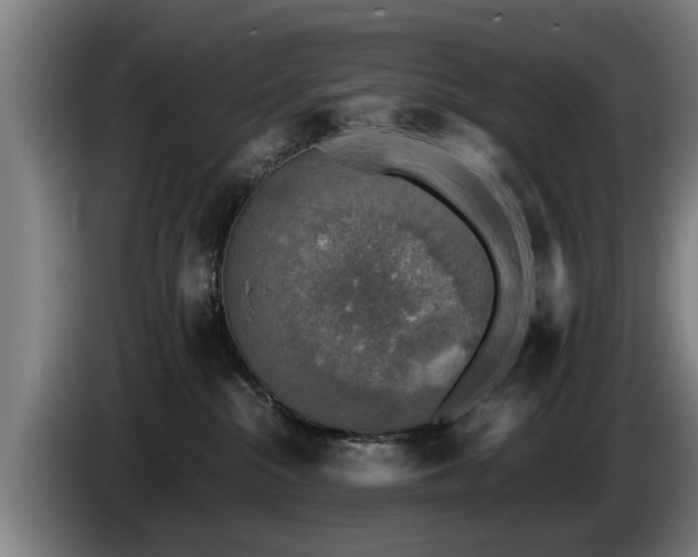 X0000086760284200704201751