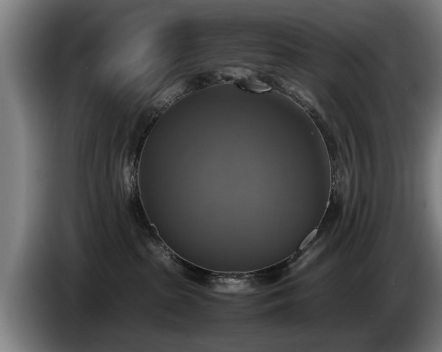 X0000086760285200704201751