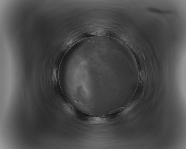 X0000086760286200704201751