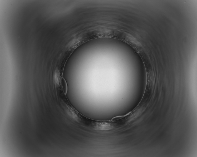 X0000086760287200704201751