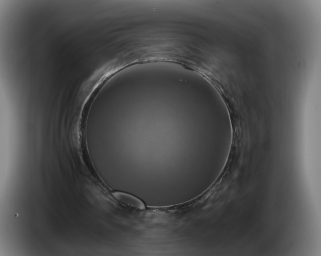 X0000086760290200704201750