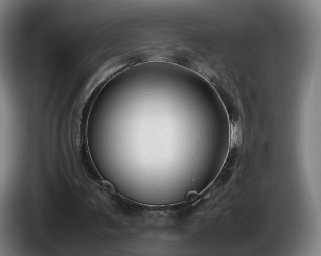 X0000086760291200704201750