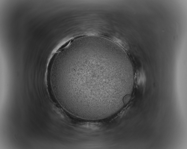 X0000086760292200704201750