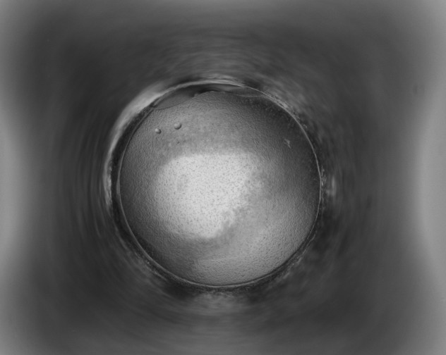 X0000086760294200704201750