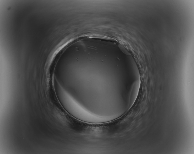 X0000086760295200704201750