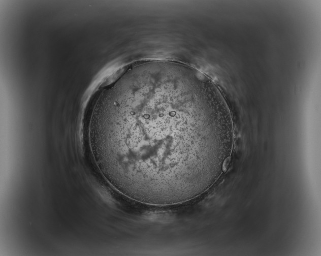 X0000086760296200704201750