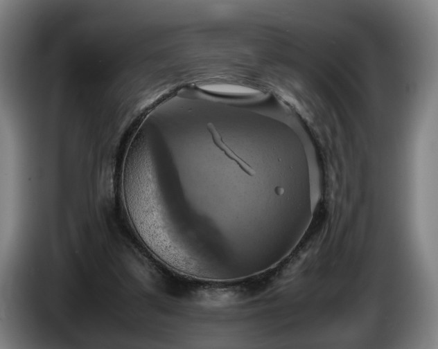 X0000086760299200704201750