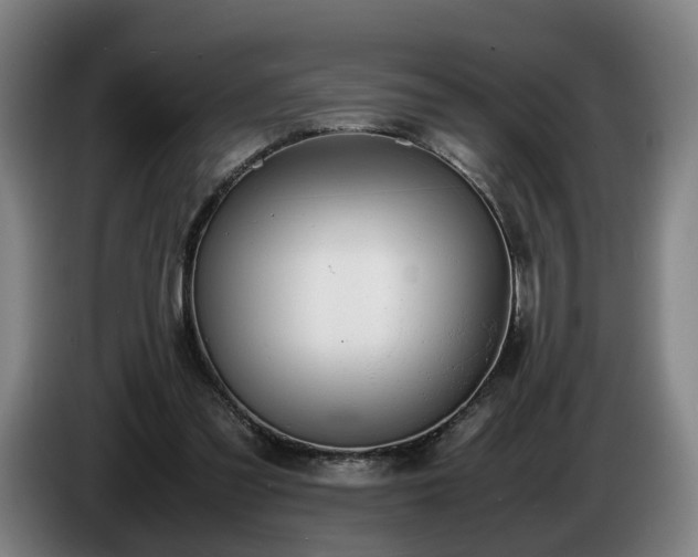 X0000086760301200704201750